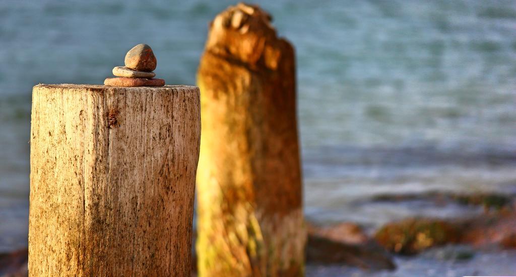 Apartamenty Dom Baltycki ビチェ 部屋 写真